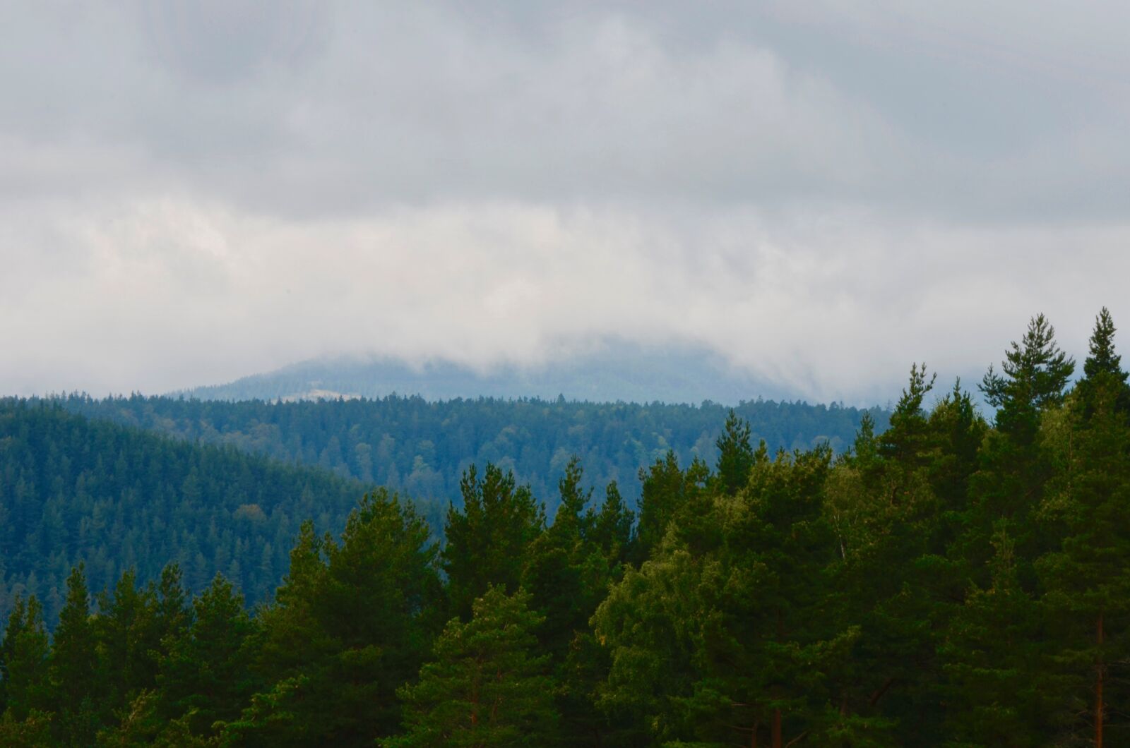 Nikon D5100 sample photo. Vosges, mountain forests, trees photography