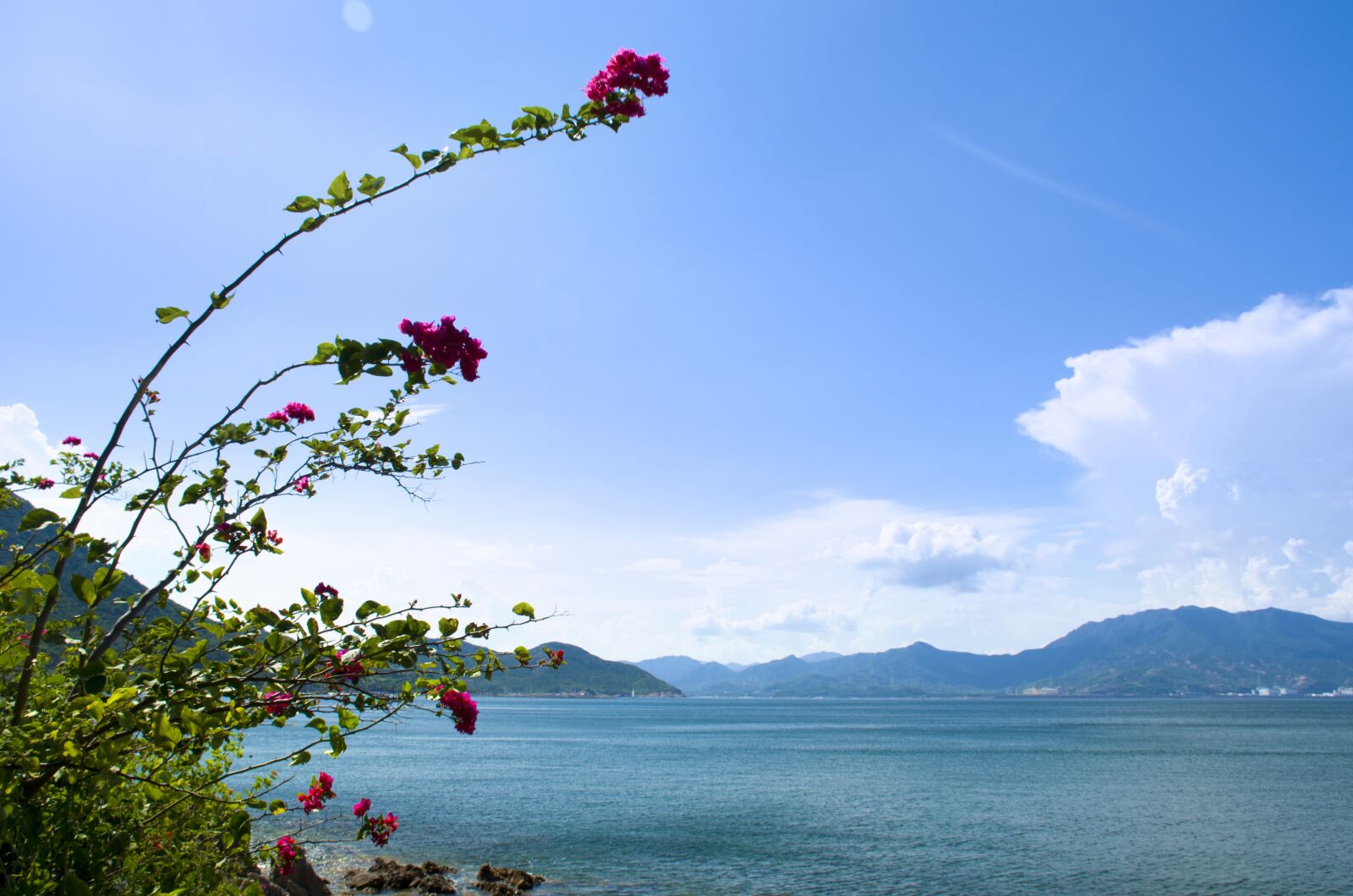 Nikon D7000 sample photo. Mountain, sea, flower photography