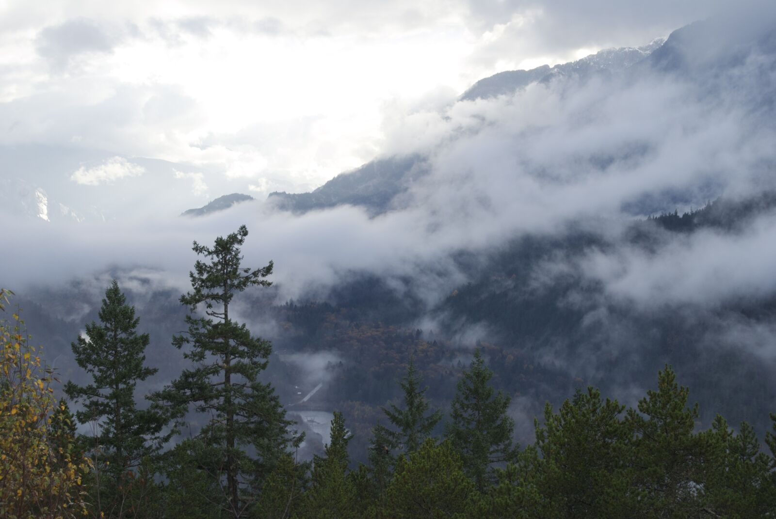 Nikon D40X sample photo. Clouds, pine tree, landscape photography