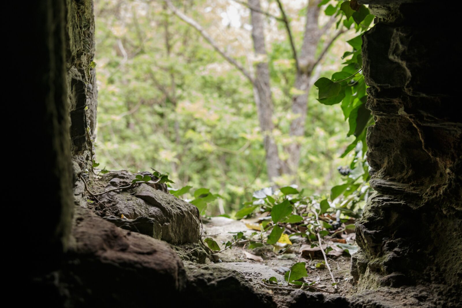 Canon EOS 70D sample photo. Moss, stone, ruin photography