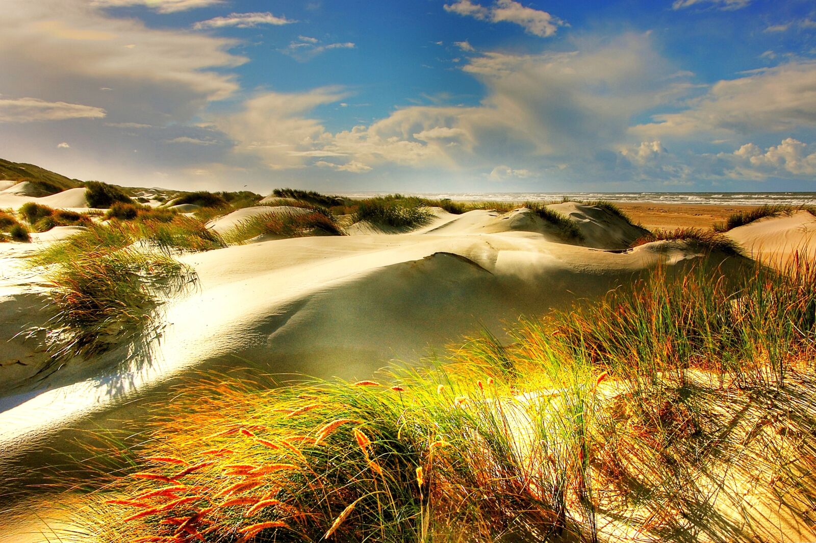 Nikon D40 sample photo. Dunes, north sea, beach photography
