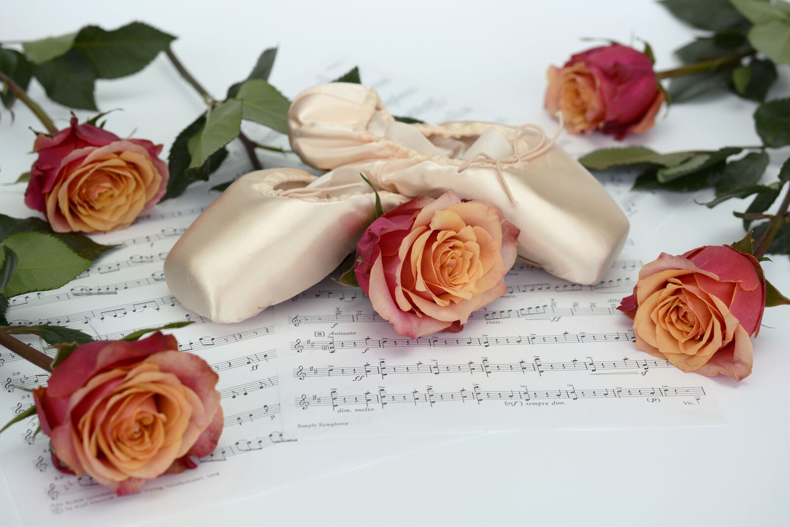Nikon D7100 sample photo. Ballet shoes, dance, roses photography