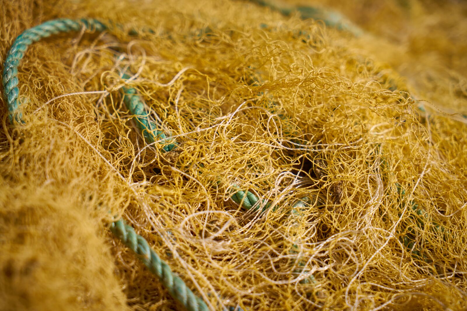 Sony a7R II sample photo. Network, fisherman, yellow photography