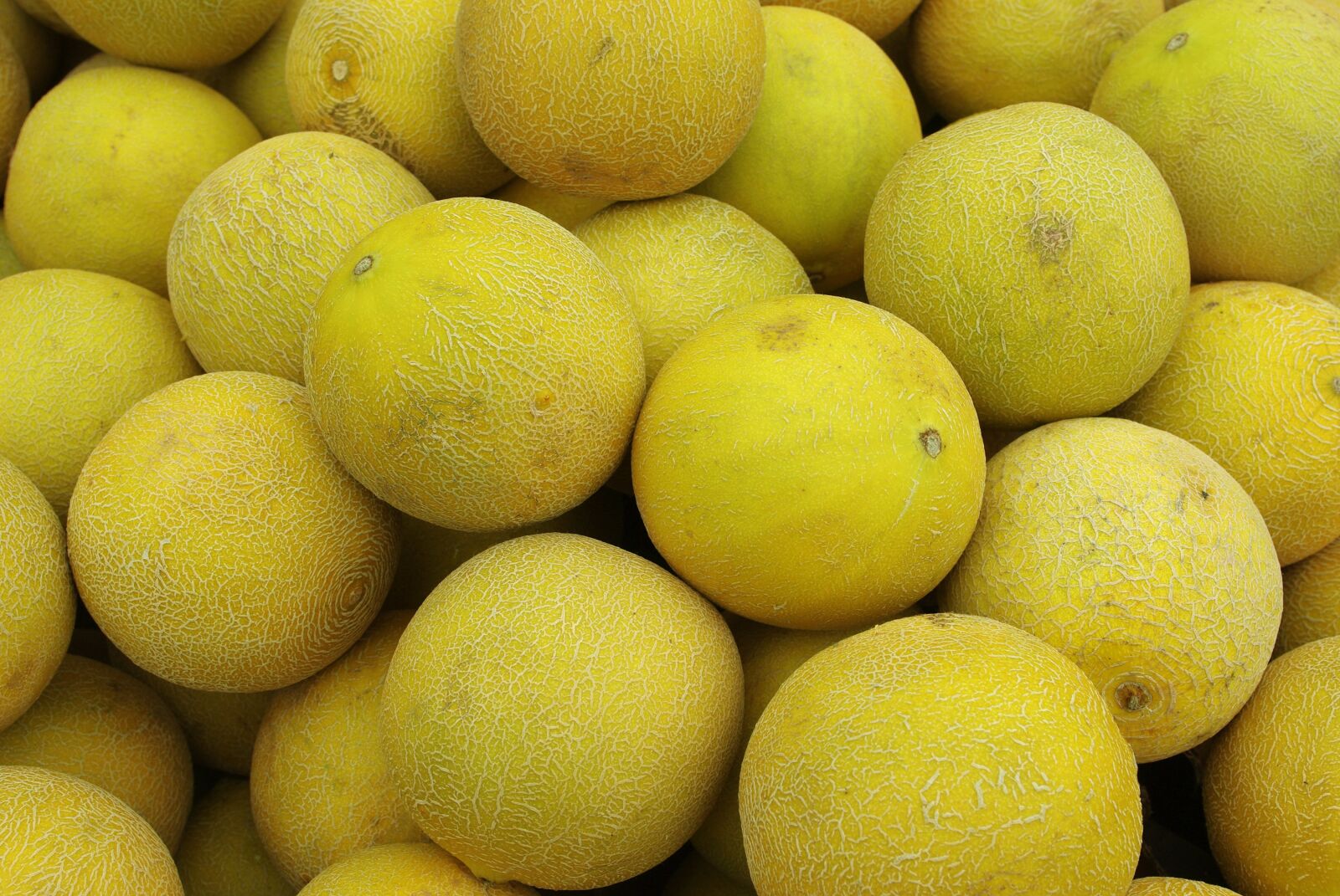 Pentax K-m (K2000) sample photo. Melon, cantaloupe, fruit photography