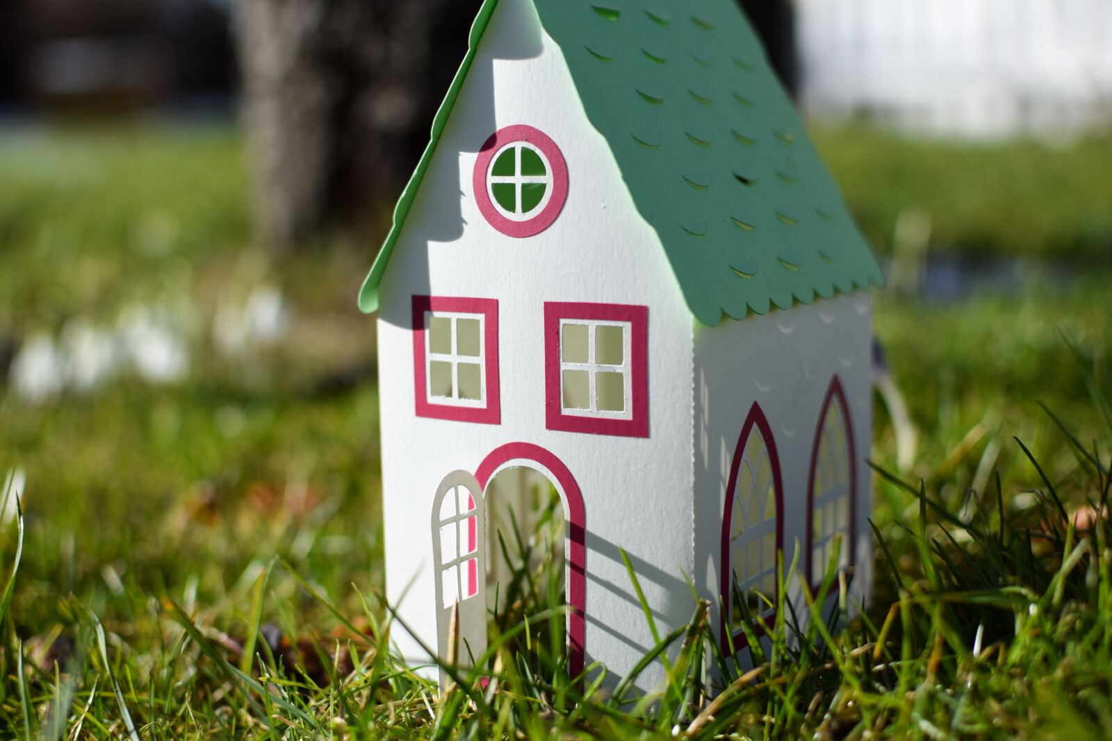 Nikon D3300 sample photo. House, model, paper photography
