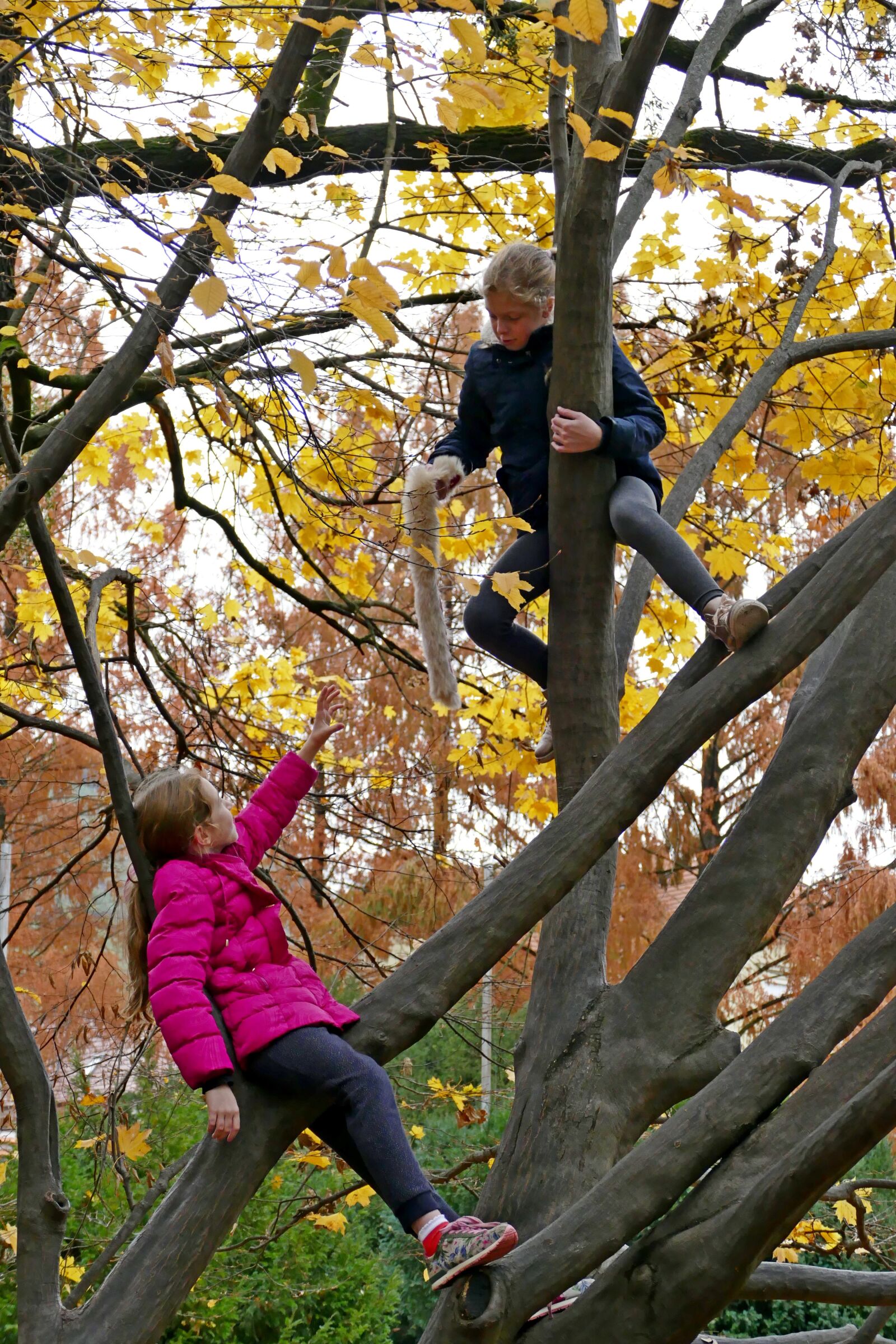 Panasonic Lumix DMC-FZ1000 sample photo. Autumn, girls, trees photography