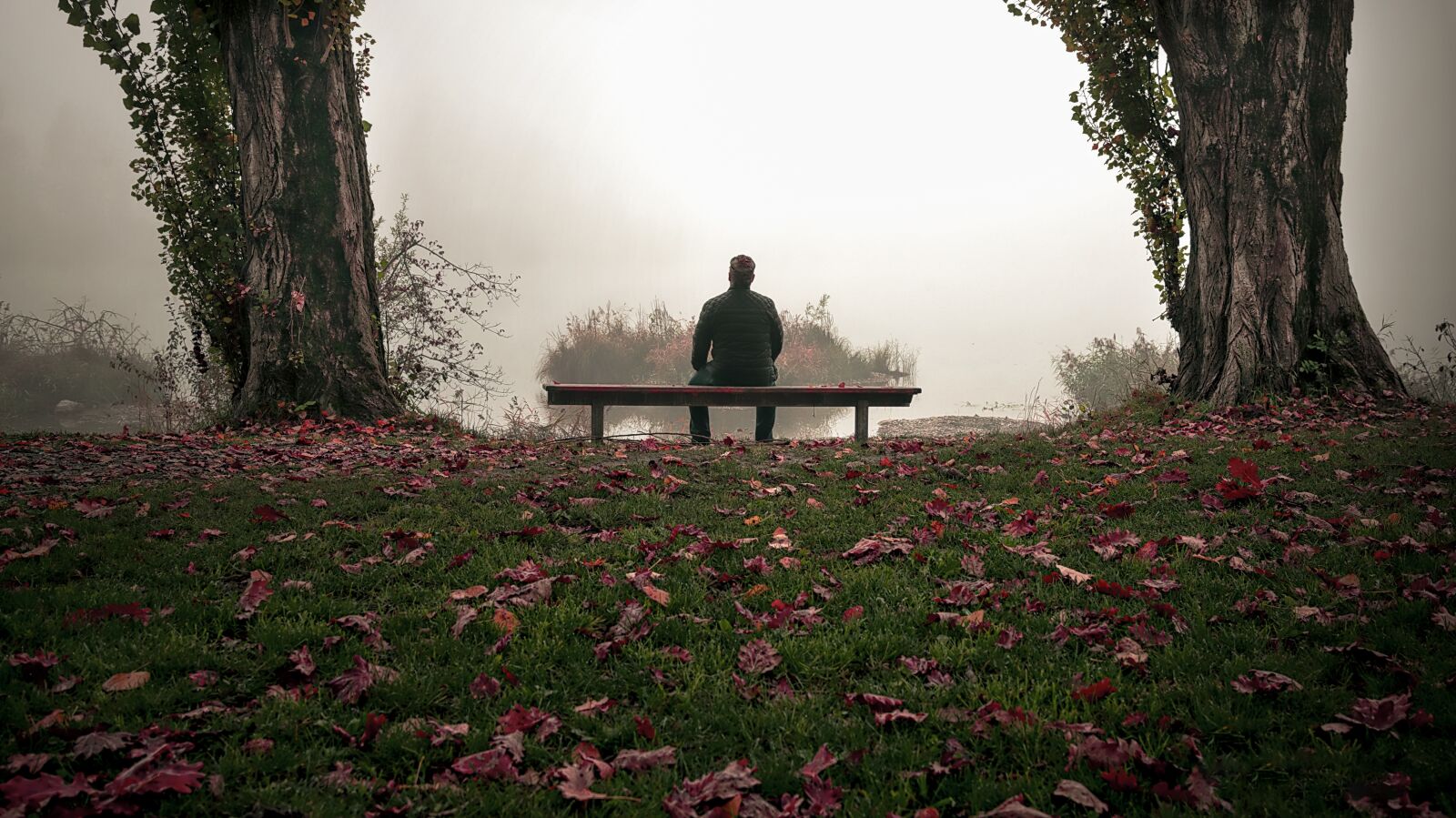 Nikon D850 sample photo. Autumn, man, nature photography
