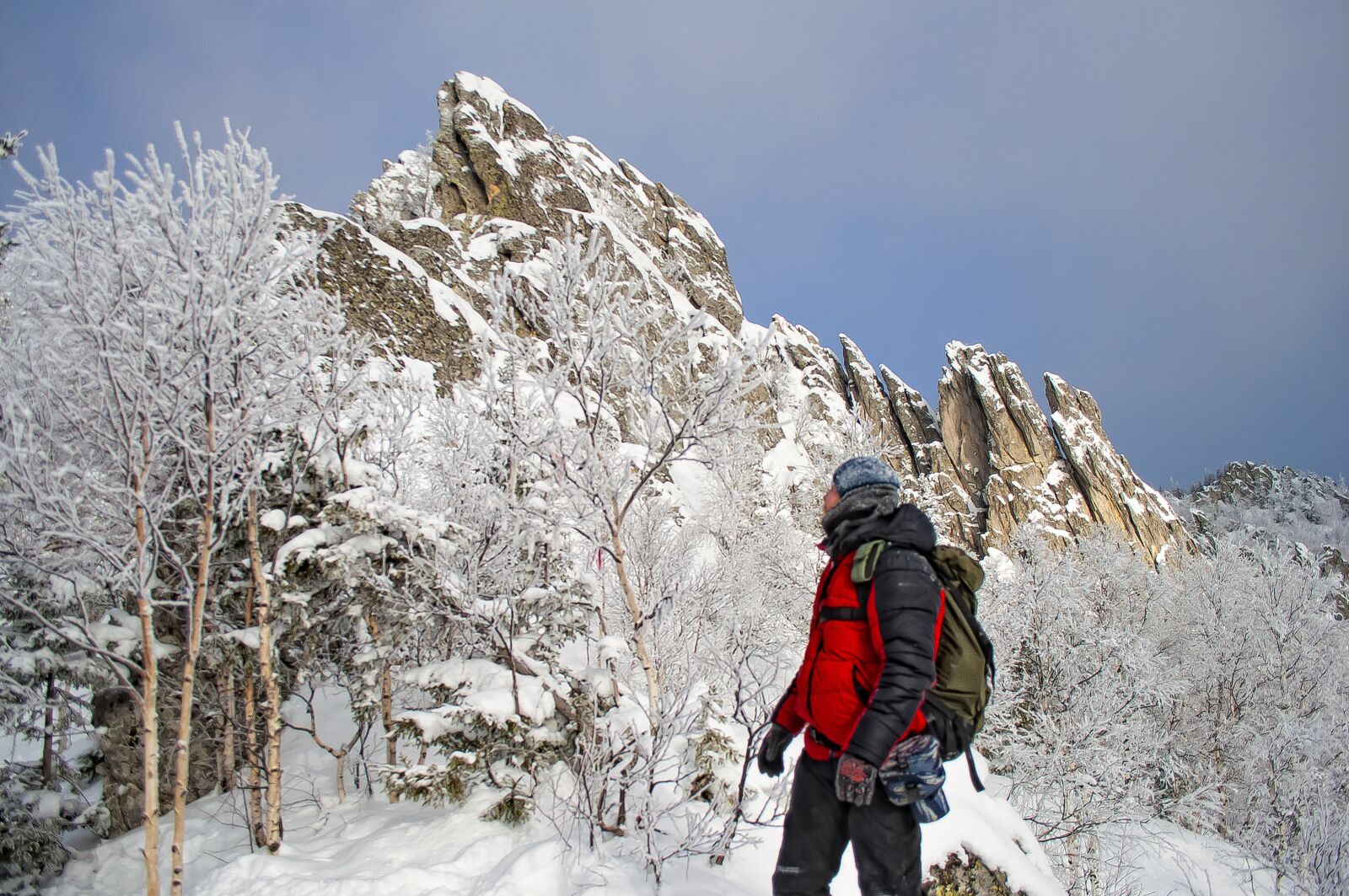 Nikon D5000 sample photo. Snow, winter, coldly photography