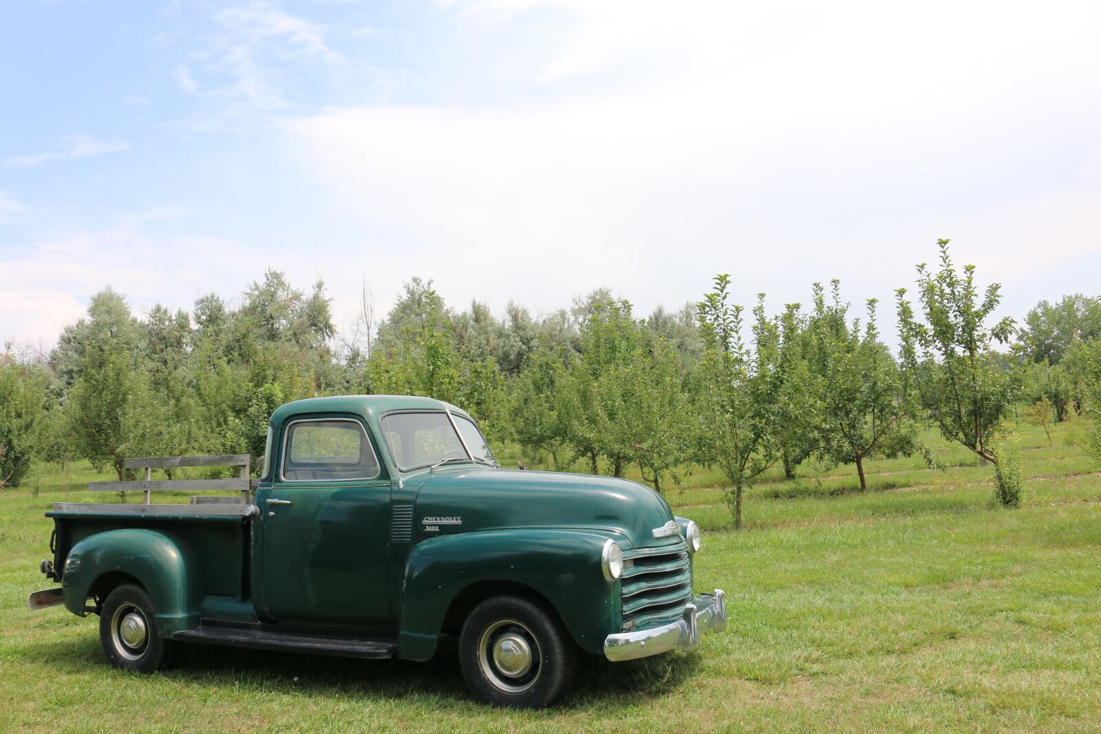 Canon EOS 70D sample photo. Truck, farm, chevy photography