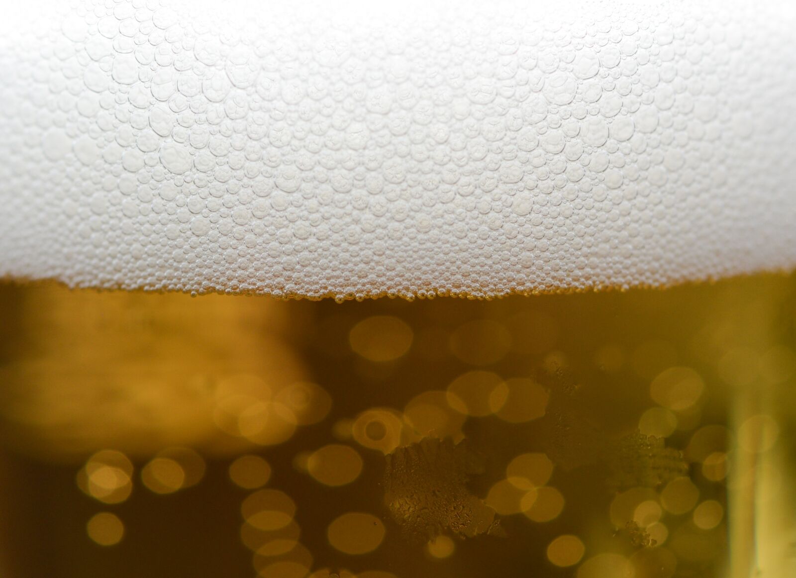 Nikon D610 sample photo. Beer, glass, foam photography
