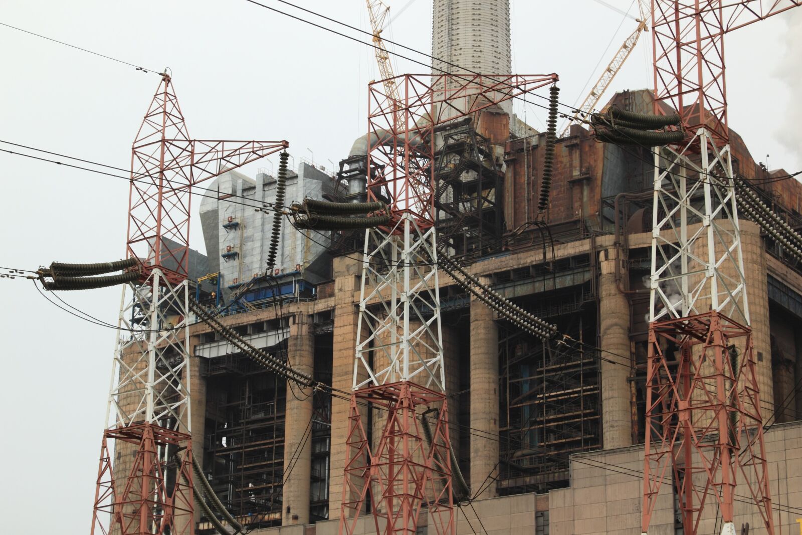 Canon EOS 550D (EOS Rebel T2i / EOS Kiss X4) sample photo. Romania, power, plant photography