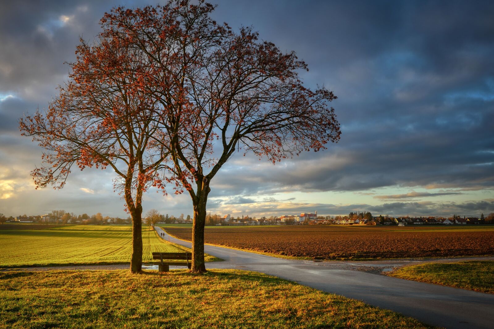 Panasonic Lumix DMC-GX8 sample photo. Rest, clouds, tree photography