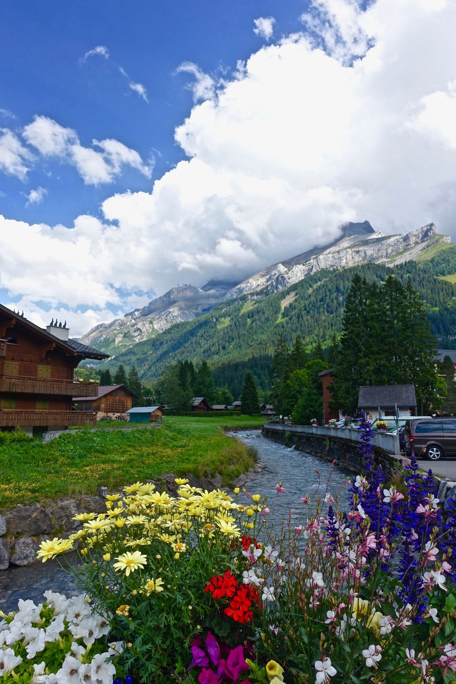 Sony Cyber-shot DSC-RX100 III sample photo. Flowers, nature, alps photography