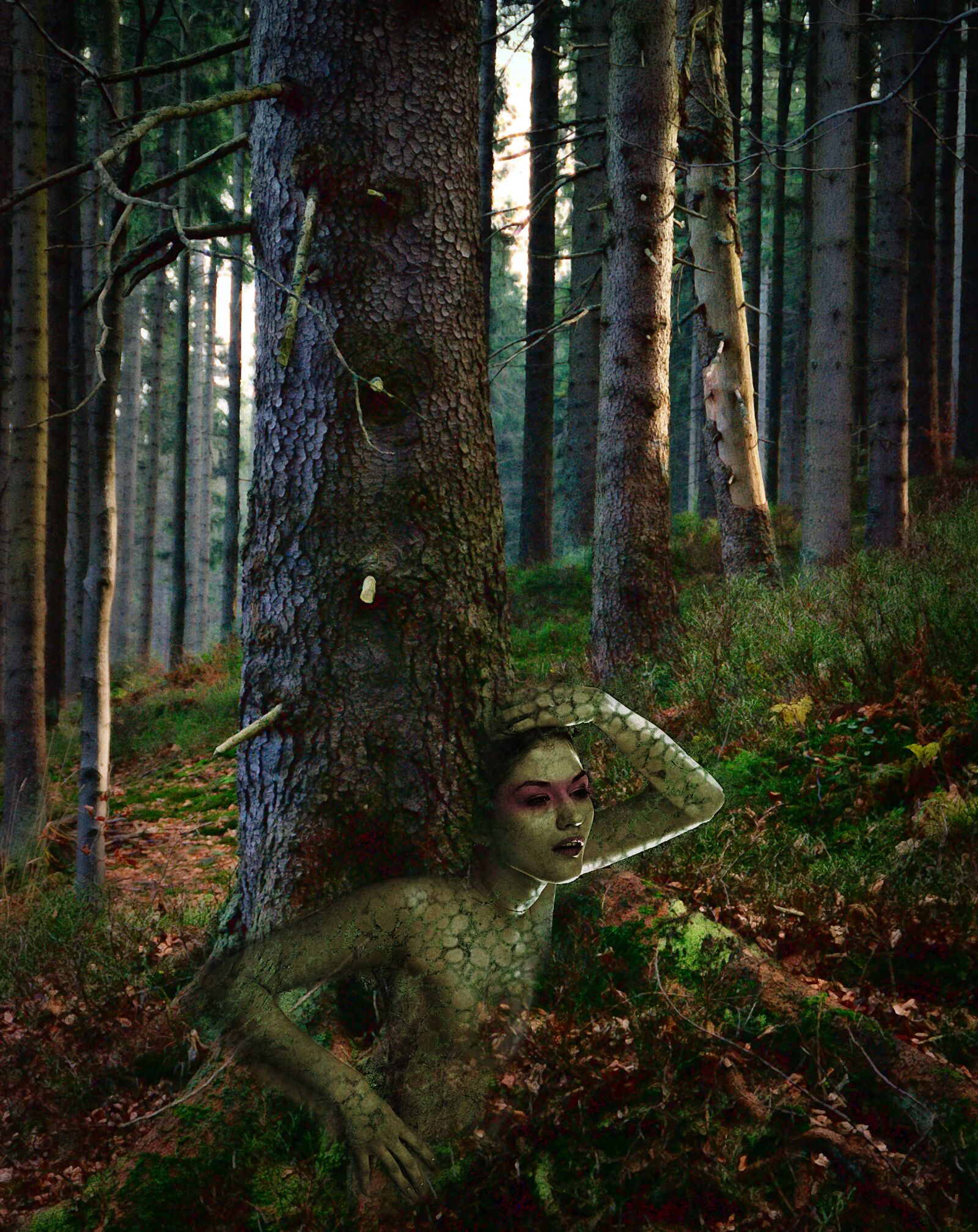 Nikon D80 sample photo. The act of, dryad photography
