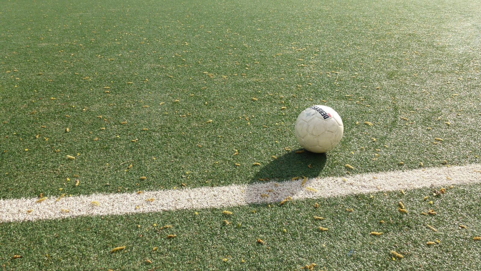 Panasonic Lumix DMC-ZS10 (Lumix DMC-TZ20 / Lumix DMC-TZ22) sample photo. Football, ball, playing field photography