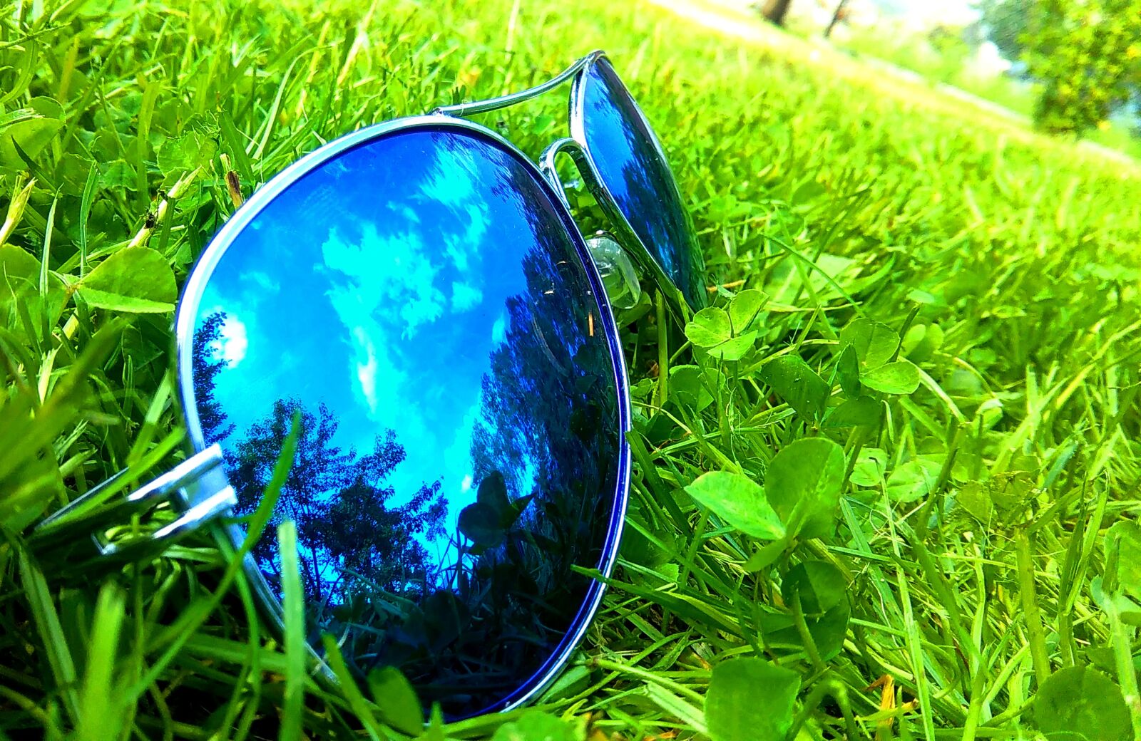 HTC DESIRE 620 sample photo. Grass, green, hot, sky photography