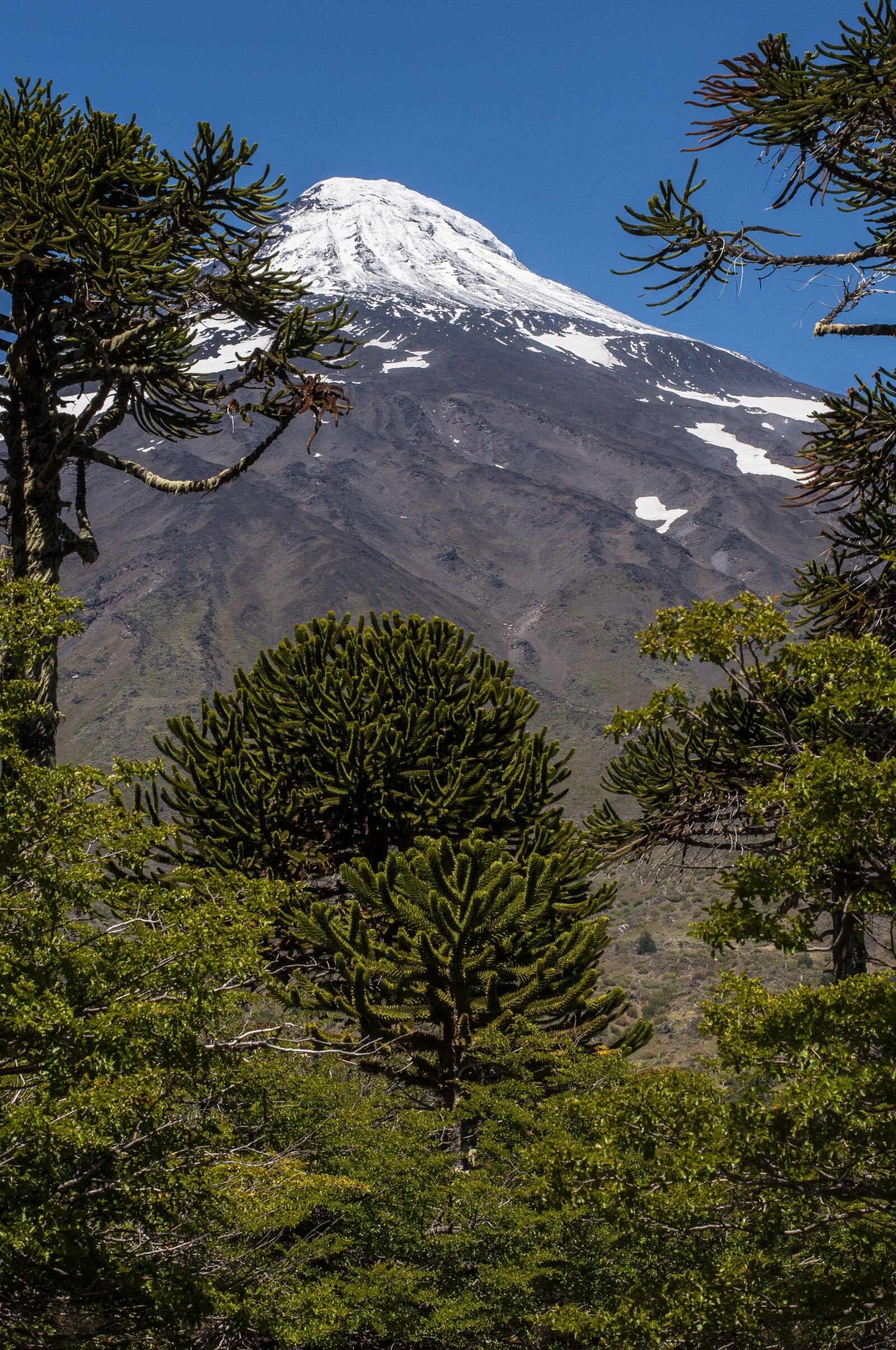 Nikon D90 sample photo. Volcano, chile, south america photography