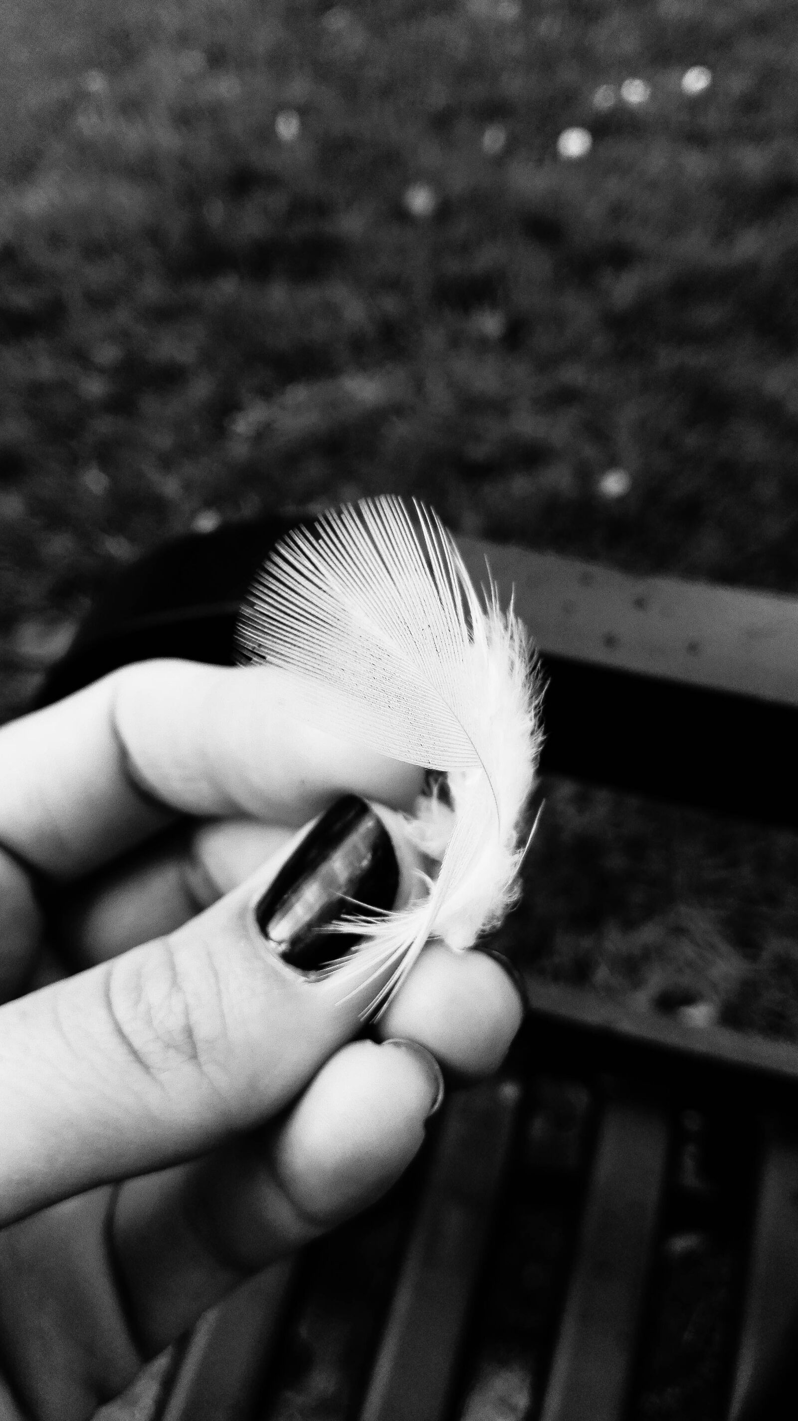 HUAWEI P8 Lite sample photo. Black, and, white, blur photography