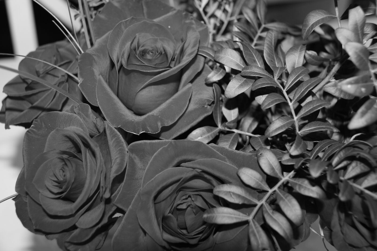 Canon EOS 550D (EOS Rebel T2i / EOS Kiss X4) sample photo. Flower, roses, bouquet photography