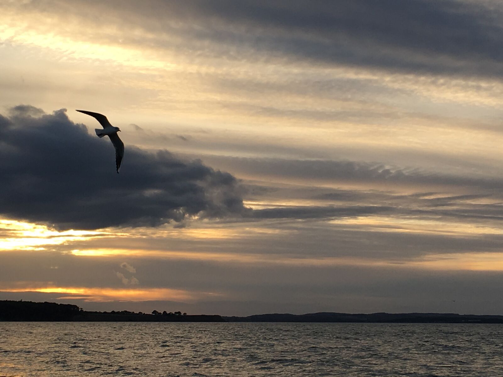 Apple iPhone 6s sample photo. Baltic sea, white houses photography