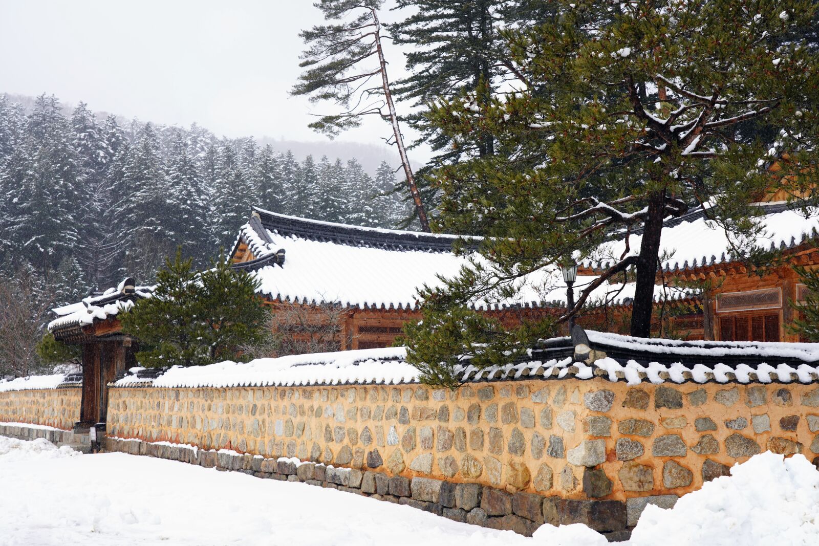 Sony FE 24-105mm F4 G OSS sample photo. Korea, temple, section photography