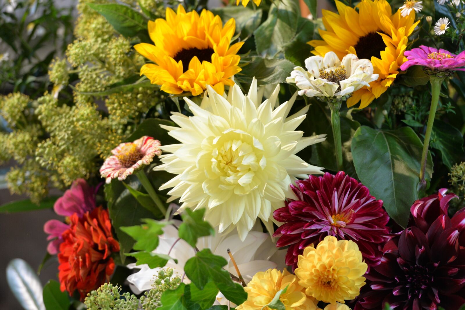 Nikon D610 sample photo. Flowers, color, dahlia photography