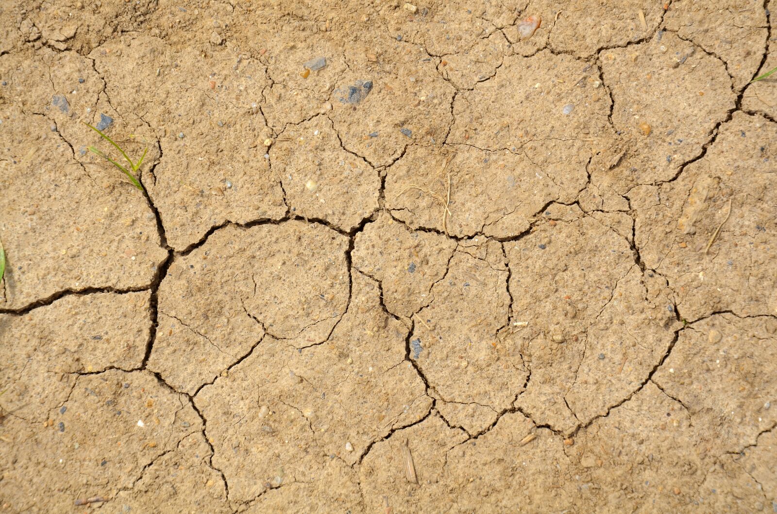 Nikon D5100 sample photo. Land, erosion, drought photography