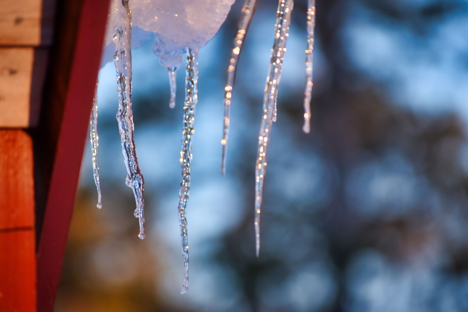 Nikon D3400 sample photo. Icicles, winter, ice photography
