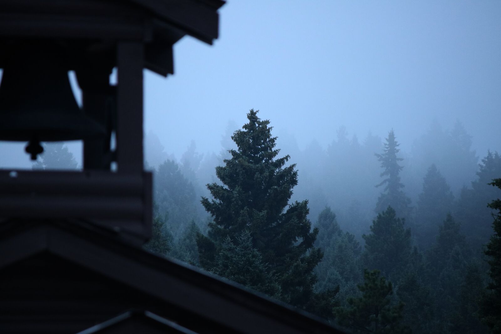 Canon EOS 750D (EOS Rebel T6i / EOS Kiss X8i) sample photo. Fog, tree, evergreen photography