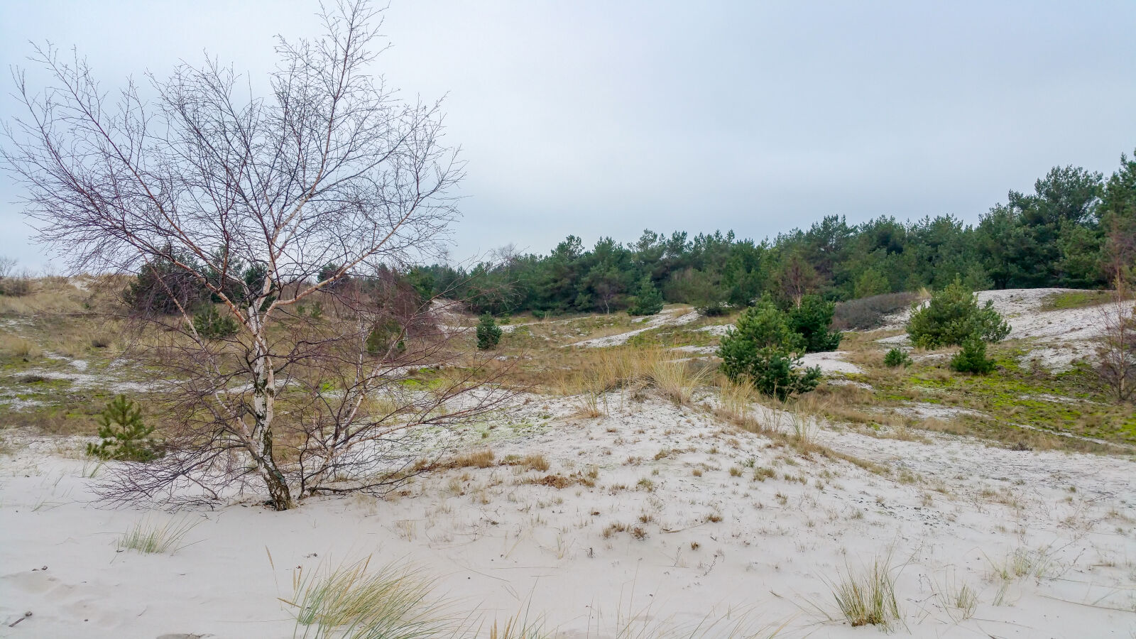 Samsung Galaxy Note4 sample photo. Beach, coast, dunes, hel photography