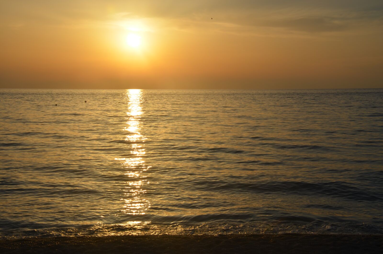 Nikon D7000 sample photo. Sun sunset, summer, italy photography