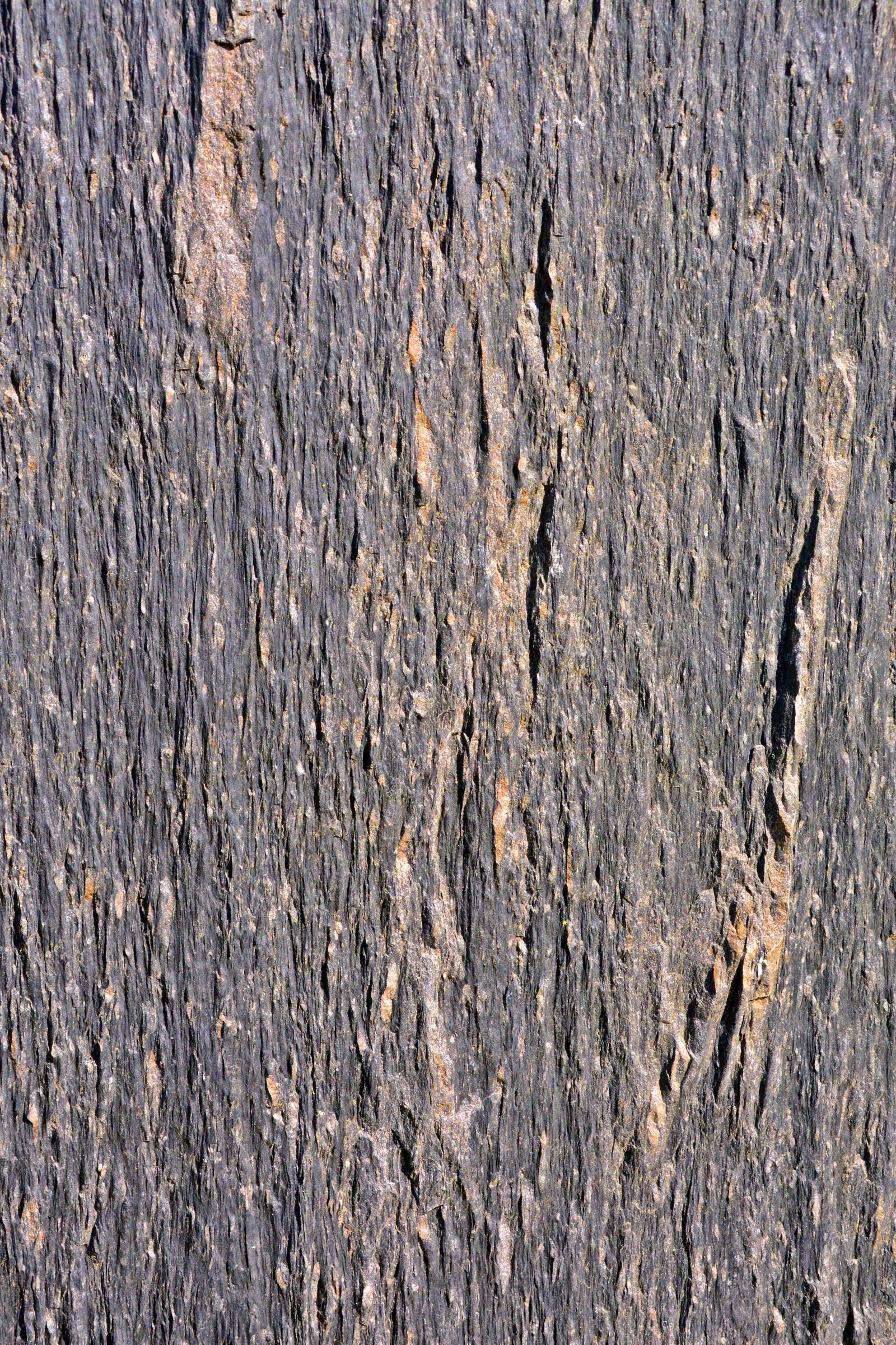 Nikon D5200 sample photo. Background, texture, pattern photography
