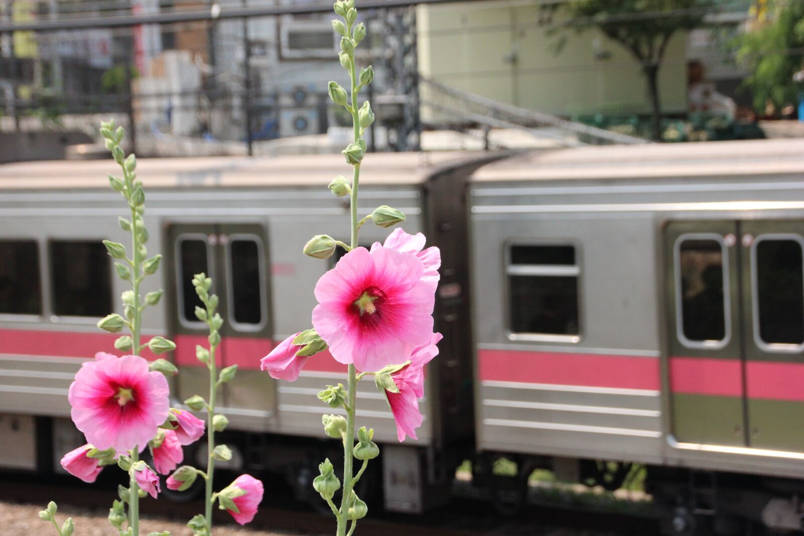 Canon EOS 600D (Rebel EOS T3i / EOS Kiss X5) sample photo. Train, subway, republic of photography