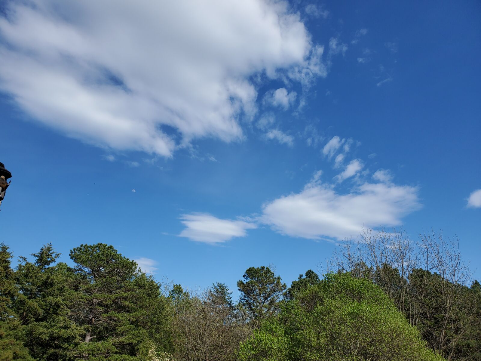 Samsung Galaxy S10 sample photo. Spring, day, trees photography