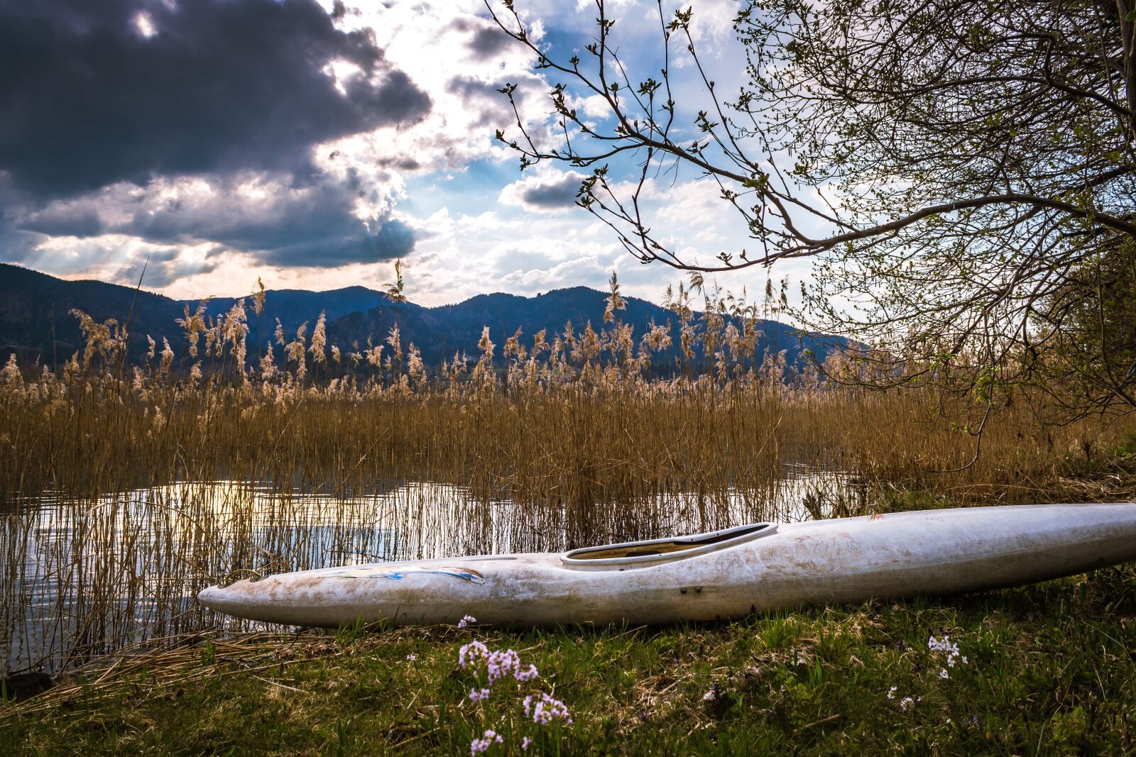 Canon EOS 1300D (EOS Rebel T6 / EOS Kiss X80) sample photo. Lake, alpine, tegernsee photography