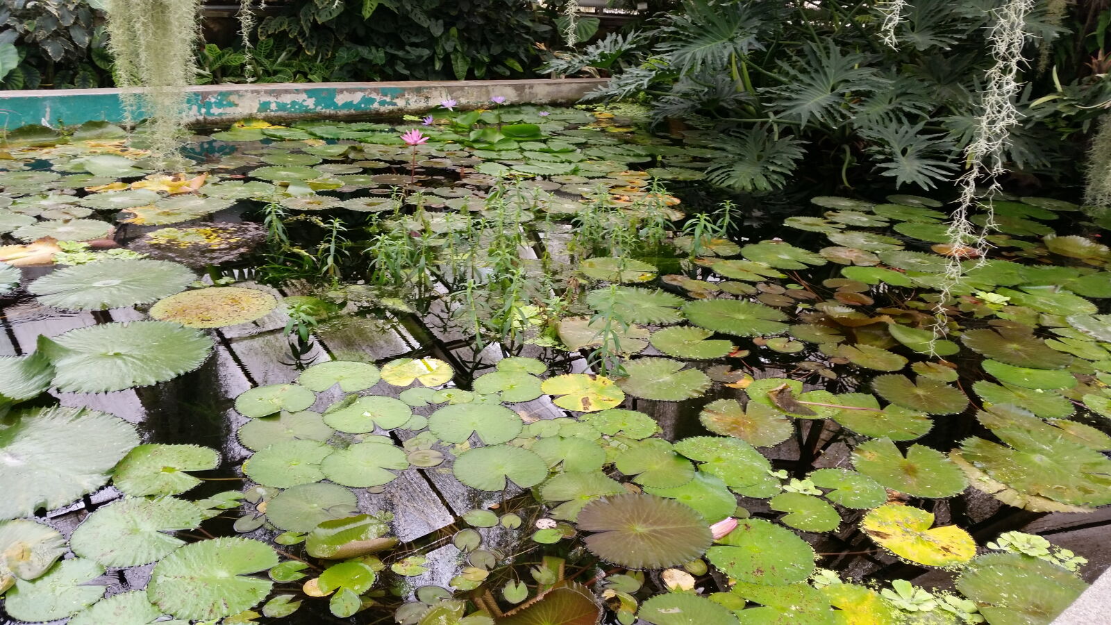 Samsung Galaxy S5 sample photo