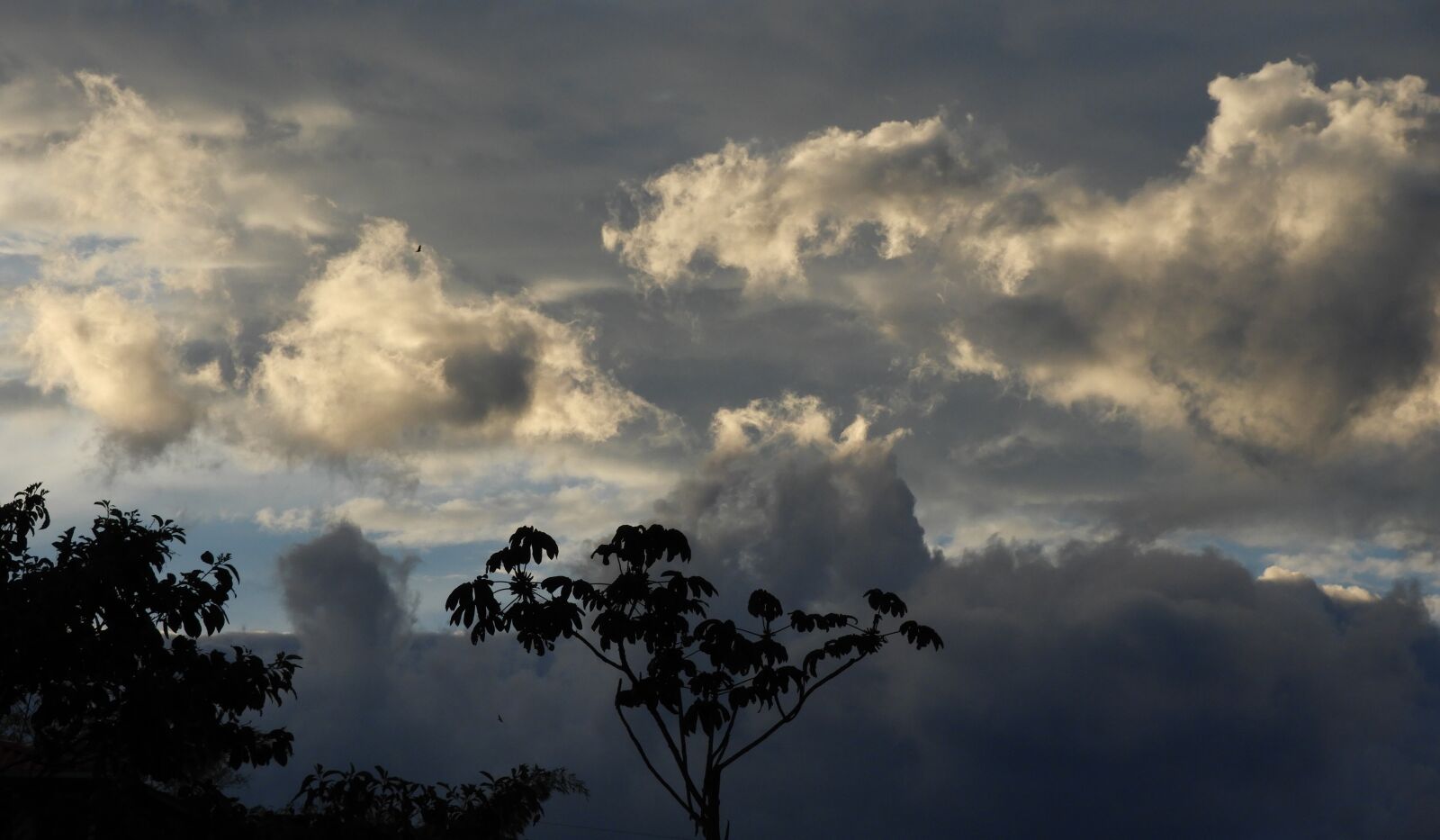 Nikon Coolpix B700 sample photo. Landscape, clouds, trees photography