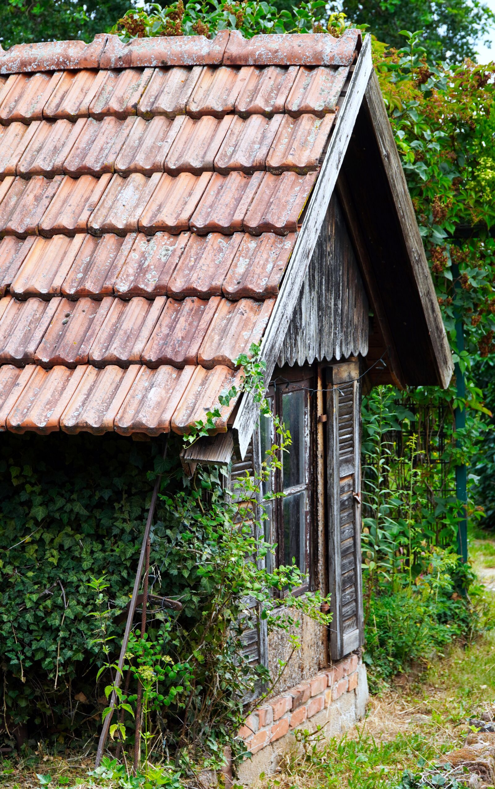Sony a6400 sample photo. House, old, garden shed photography
