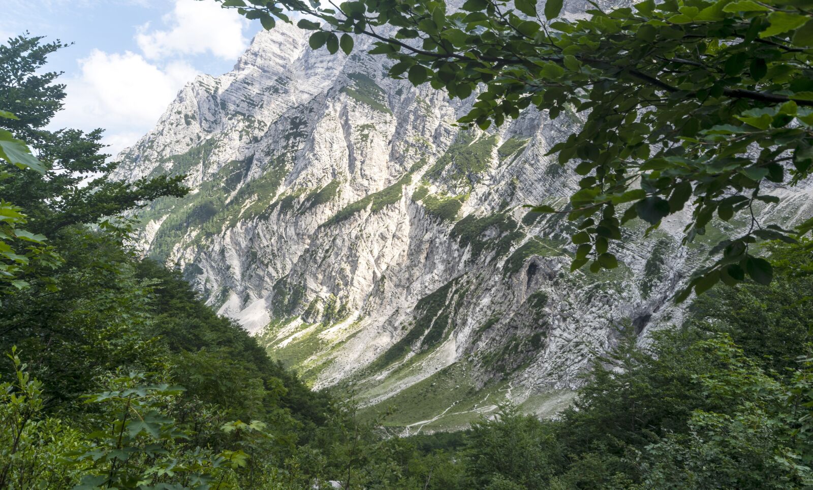 Nikon D3300 sample photo. Alps, mountains, panorama photography