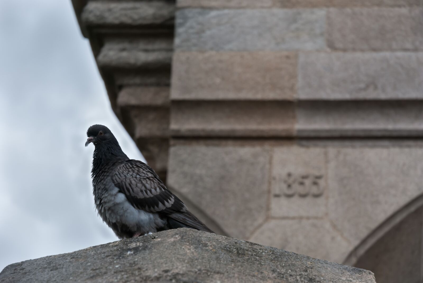 Nikon D80 sample photo. Brittany, france, castle photography