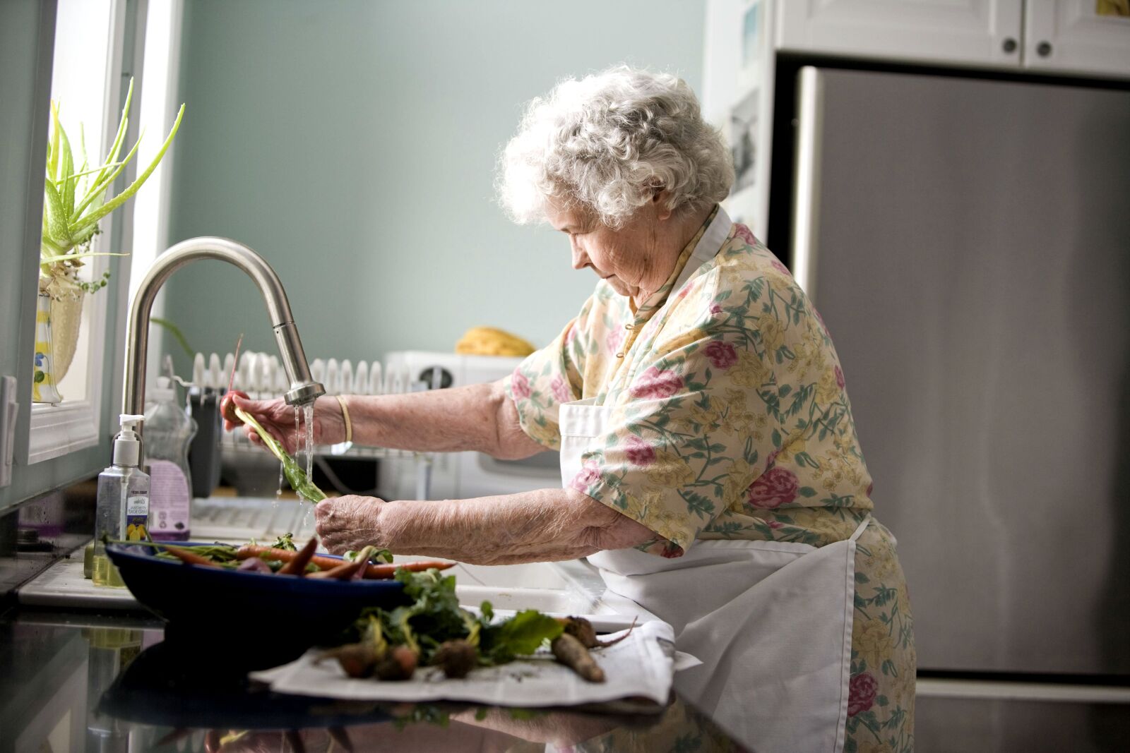 Canon EOS-1Ds Mark II sample photo. Elderly, woman, kitchen, cleaning photography