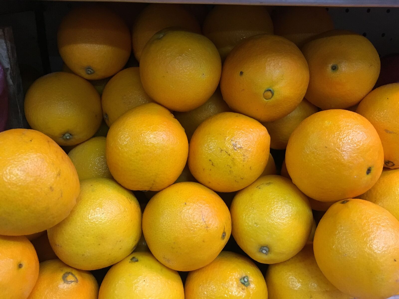 iPhone 6s back camera 4.15mm f/2.2 sample photo. Oranges, fruits, naranjas photography