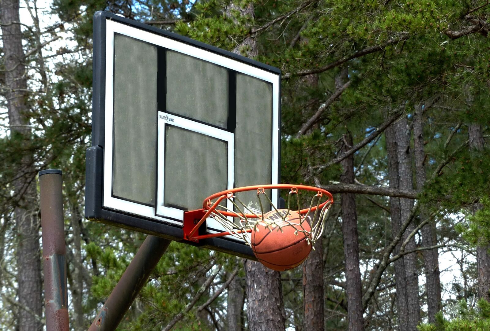Panasonic Lumix DMC-FZ200 sample photo. Basketball, basketball net, sports photography