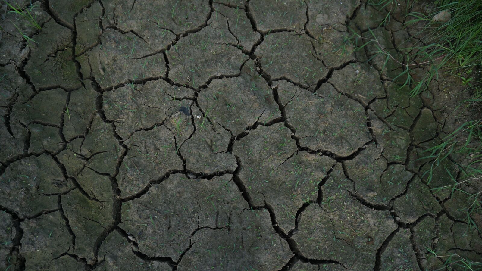 Sony a5100 sample photo. Drought, wasteland, climate photography