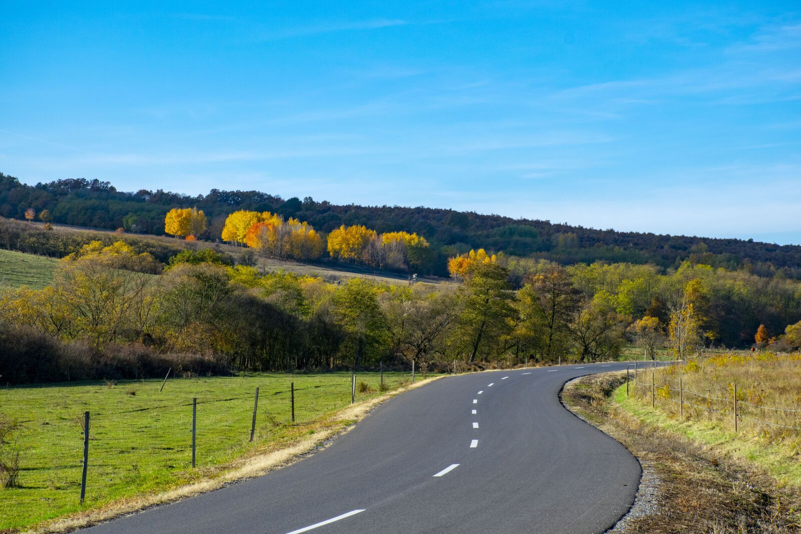 Nikon D5300 sample photo. Road, autumn, colors photography