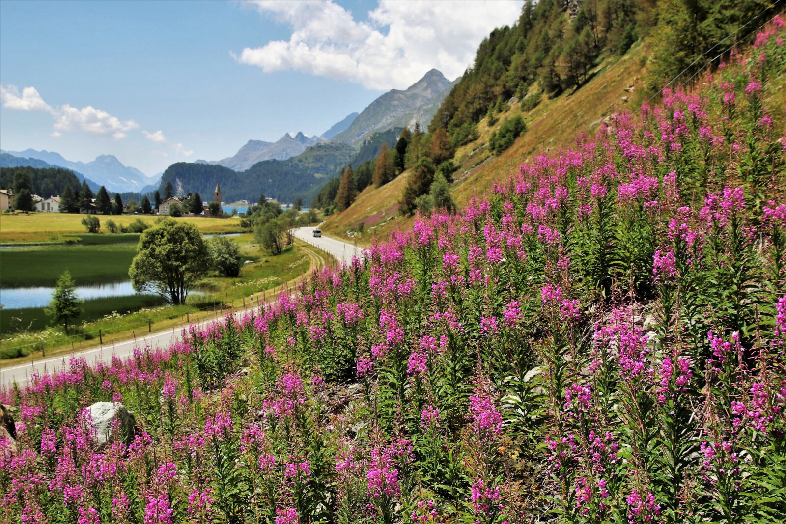 Canon EOS 80D sample photo. The alps, panorama, meadows photography