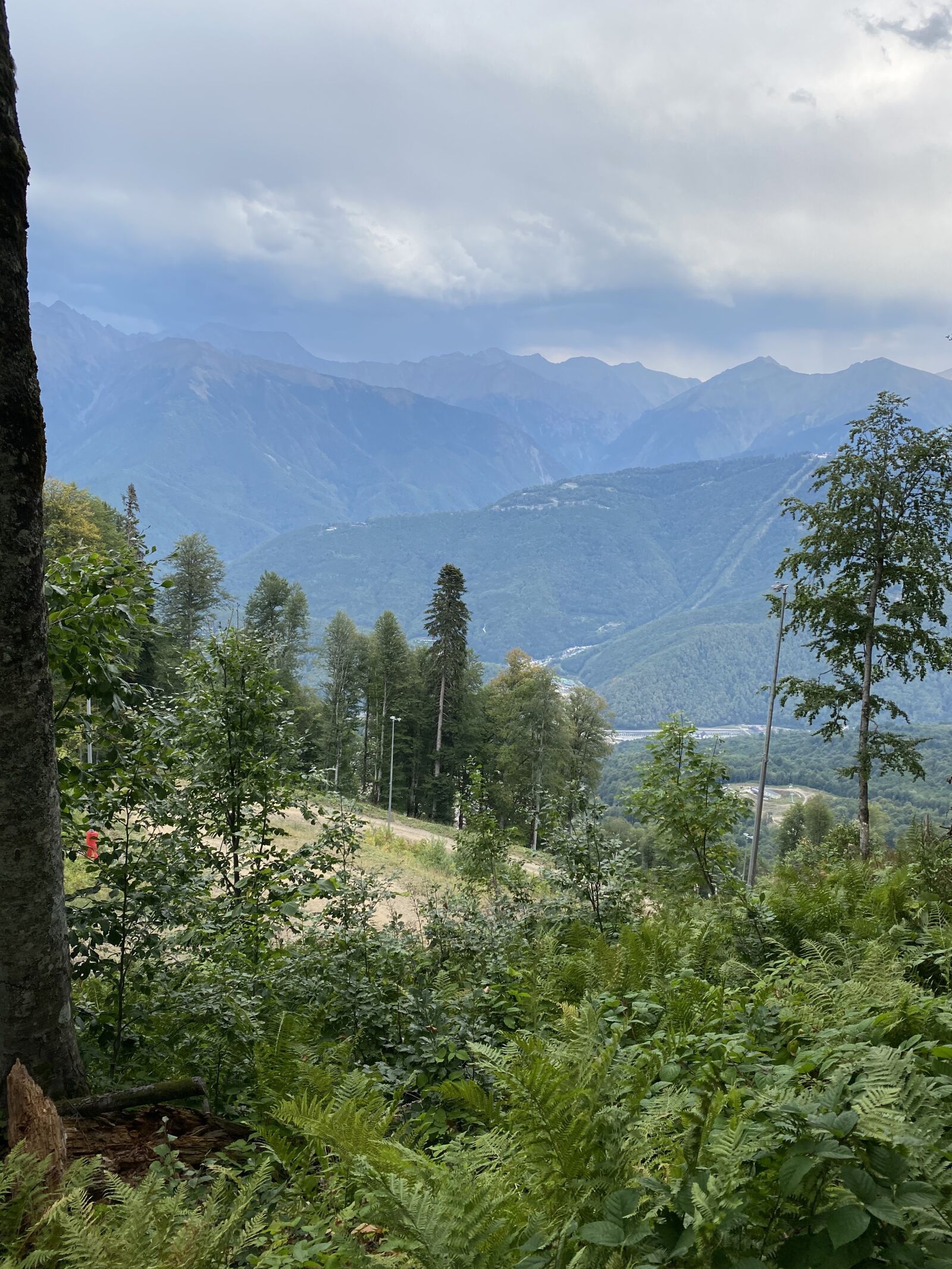 Apple iPhone 11 Pro Max sample photo. Forest, mountains, nature photography