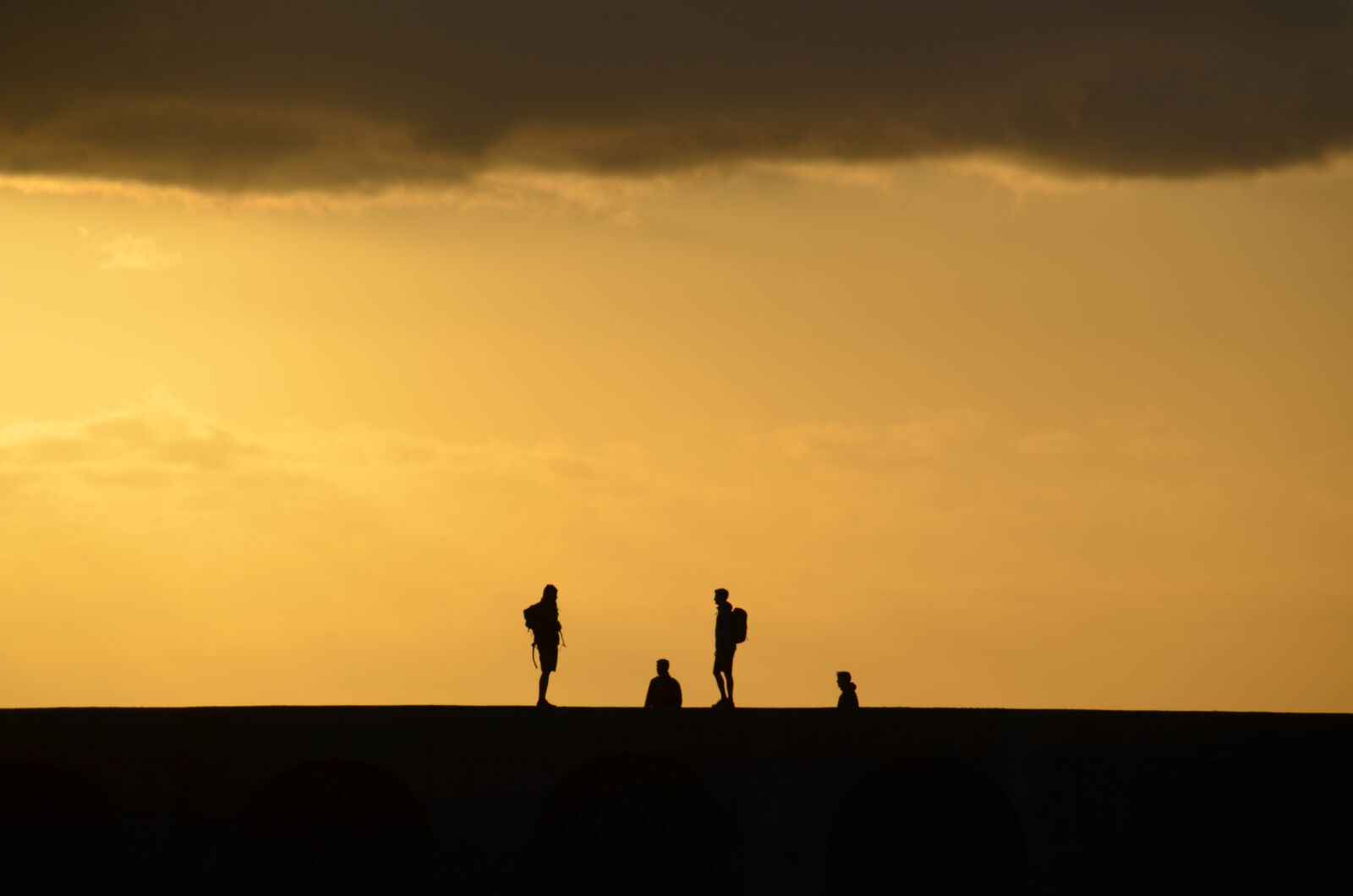 Nikon D5100 sample photo. Sunset, dawn, silhouette photography