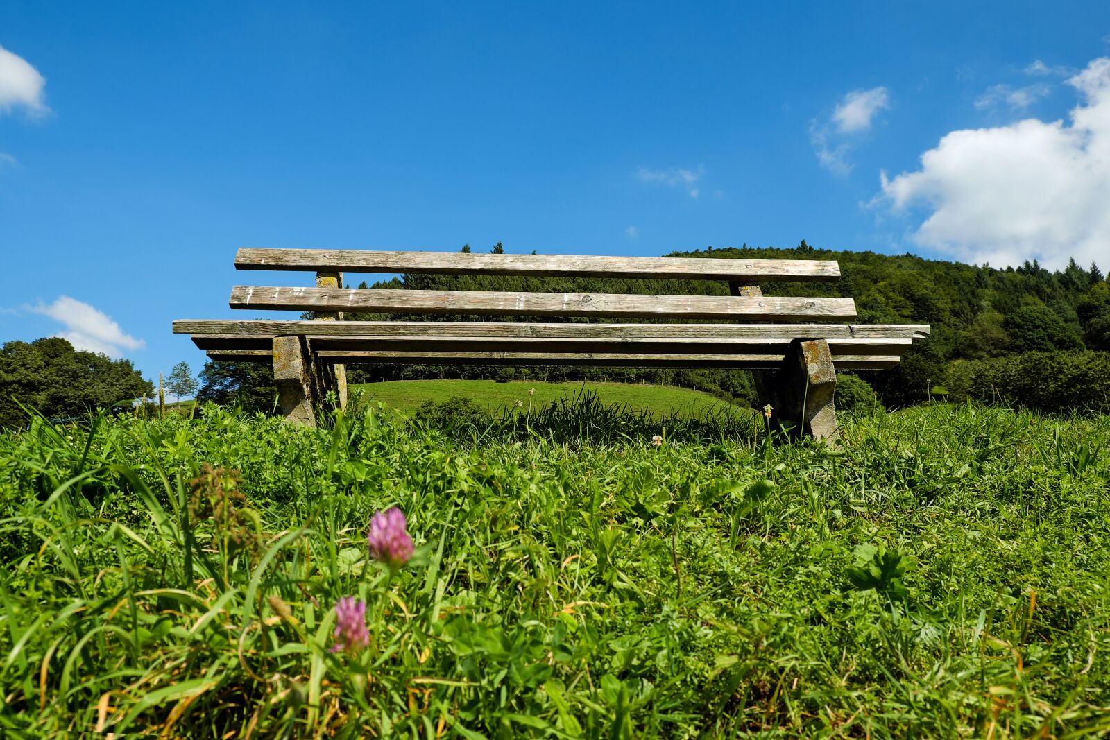 Fujifilm X-T10 sample photo. Bank, bench, wooden bench photography