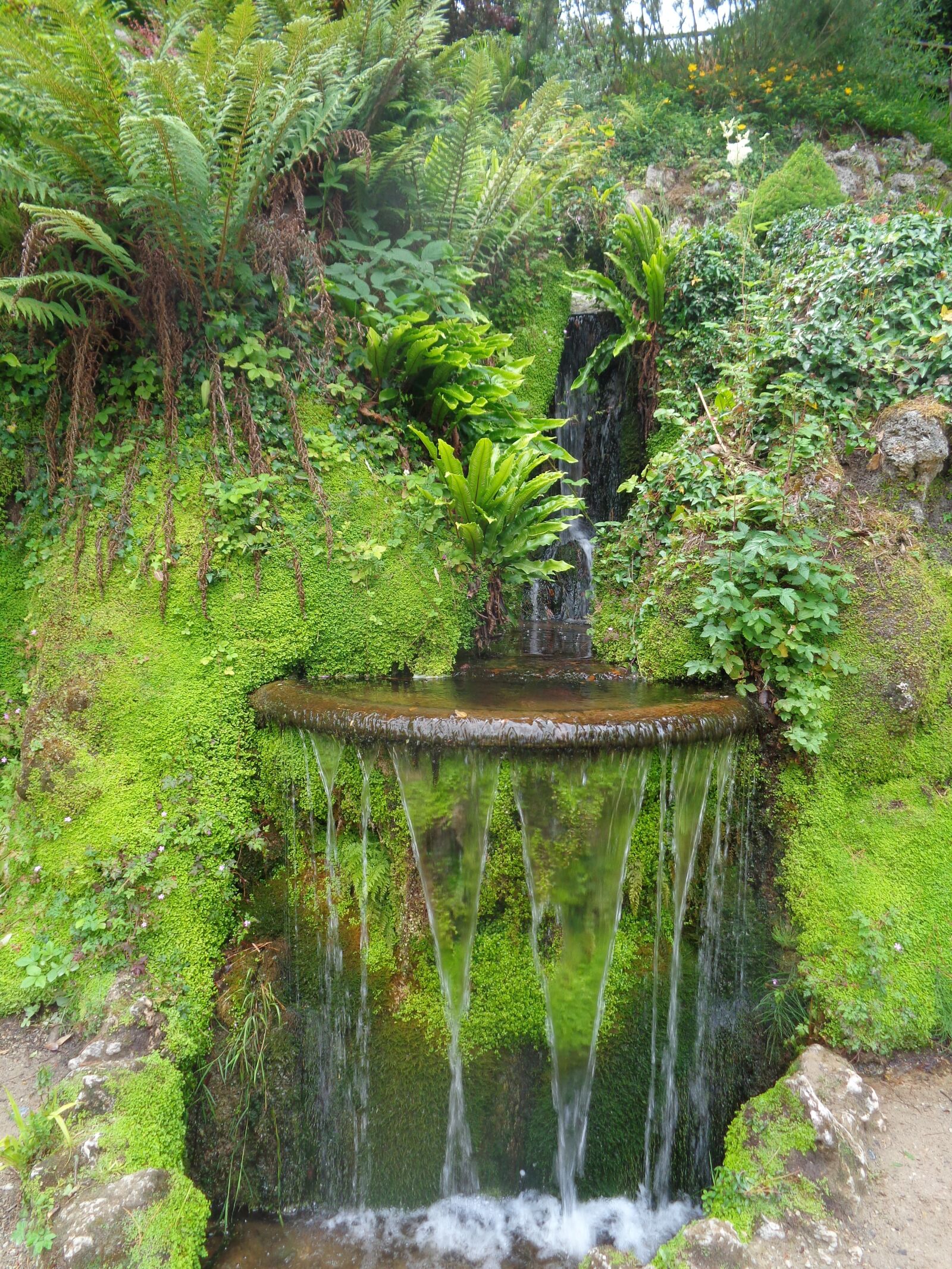 Sony Cyber-shot DSC-W830 sample photo. Landscape, nature, fountain photography